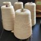 Warp Yarn
